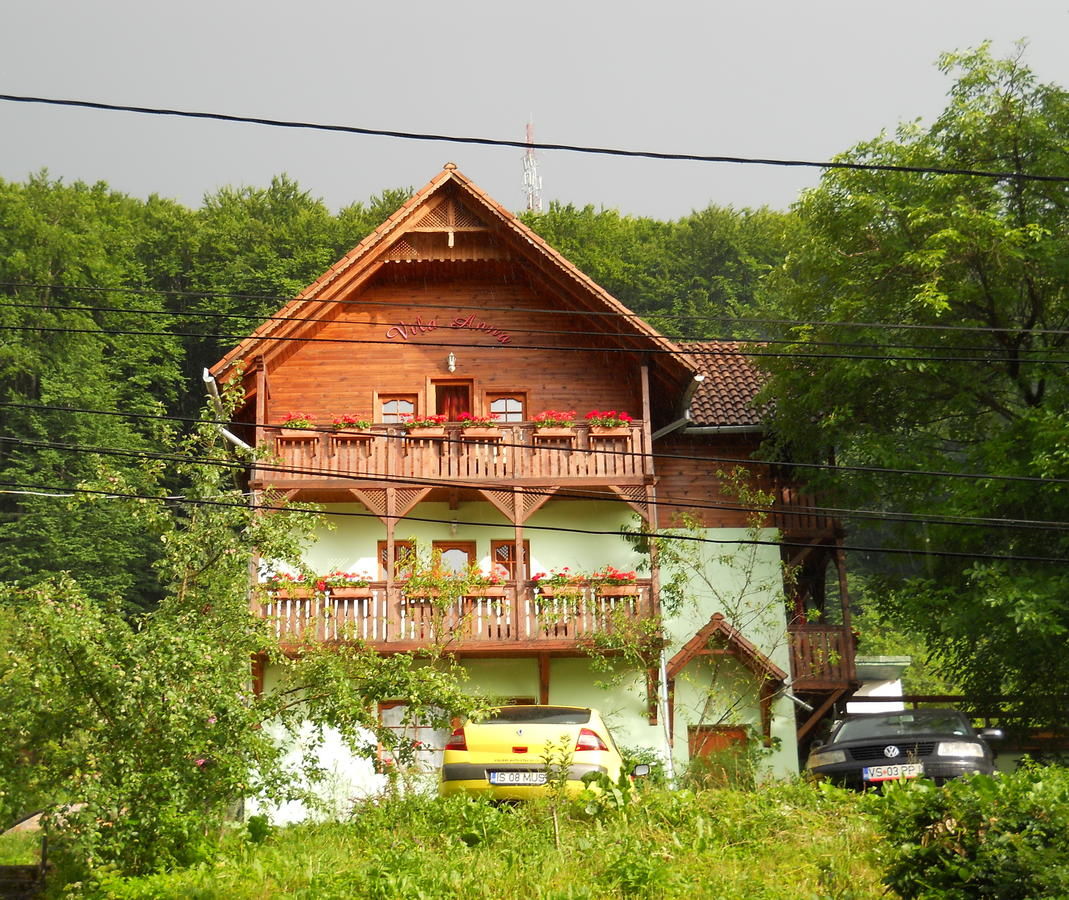 Гостевой дом Vila Anna Совата-4